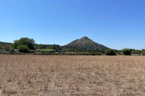 Terra a Alcudia, Mallorca, Alcudia - € 989.000 | Ref: 77338 - foto 3