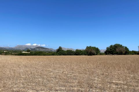 Terra a Alcudia, Mallorca, Alcudia - € 989.000 | Ref: 77338 - foto 4