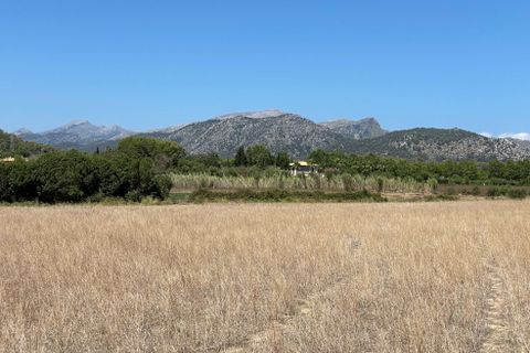 Terra a Alcudia, Mallorca, Alcudia - € 989.000 | Ref: 77338 - foto 5