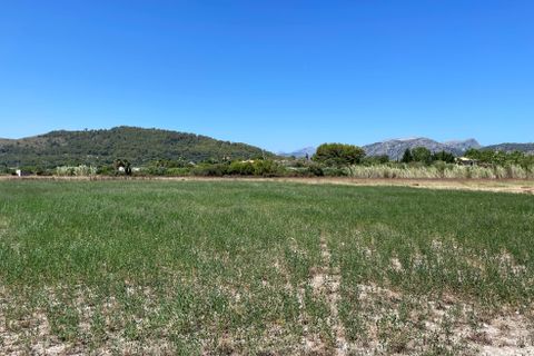 Terra a Alcudia, Mallorca, Alcudia - € 989.000 | Ref: 77338 - foto 6