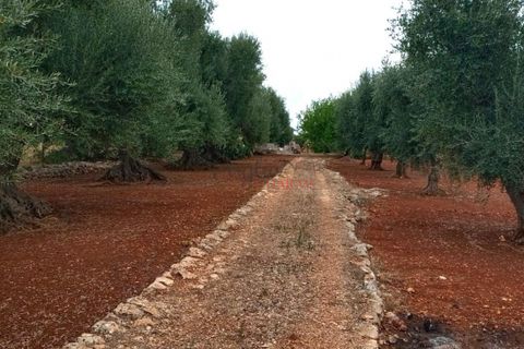 Landejendom i Ostuni, Brindisi, Ostuni - € 140.000 | Ref: 259 - foto 19