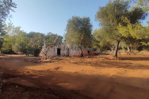 Landejendom i Ostuni, Brindisi, Ostuni - € 140.000 | Ref: 259 - foto 44