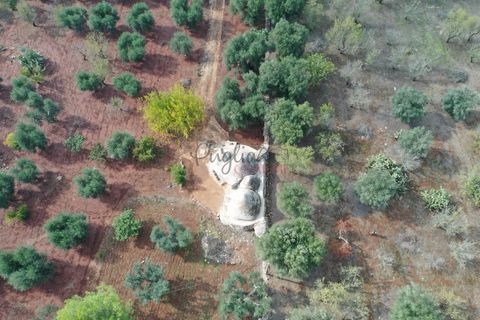 Landejendom i Ostuni, Brindisi, Ostuni - € 140.000 | Ref: 259 - foto 10