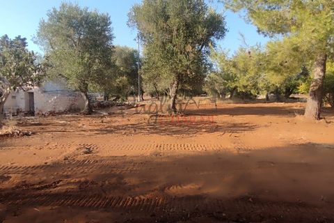 Landejendom i Ostuni, Brindisi, Ostuni - € 140.000 | Ref: 259 - foto 46