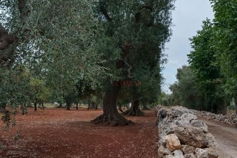 Landejendom i Ostuni, Brindisi, Ostuni - € 140.000 | Ref: 259 - foto 16
