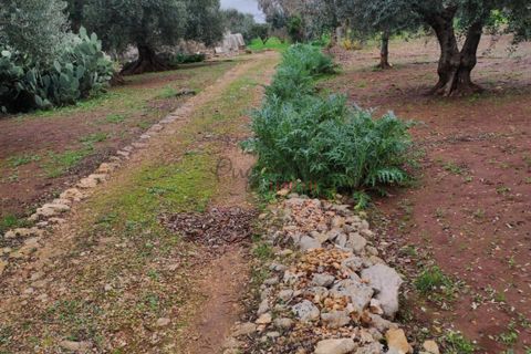 Landejendom i Ostuni, Brindisi, Ostuni - € 140.000 | Ref: 259 - foto 18