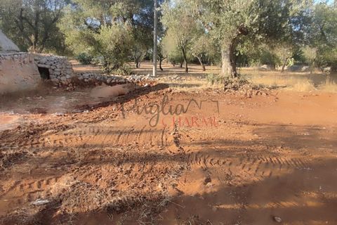 Landejendom i Ostuni, Brindisi, Ostuni - € 140.000 | Ref: 259 - foto 38