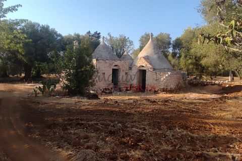 Landejendom i Ostuni, Brindisi, Ostuni - € 140.000 | Ref: 259 - foto 40