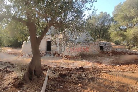 Landejendom i Ostuni, Brindisi, Ostuni - € 140.000 | Ref: 259 - foto 41