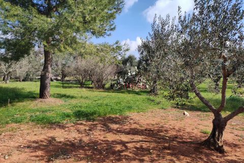 Landejendom i Ostuni, Brindisi, Ostuni - € 140.000 | Ref: 259 - foto 34