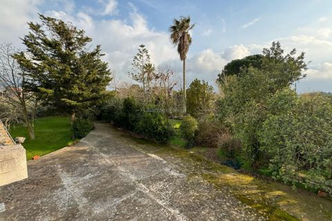 Villa i Modica, Ragusa, Modica - € 370.000 | Ref: MA 96 - foto 32