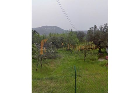 Grond in Benafim, Faro, Benafim - € 110.000 | Ref: RP1937P - foto 4