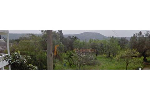 Grond in Benafim, Faro, Benafim - € 110.000 | Ref: RP1937P - foto 5