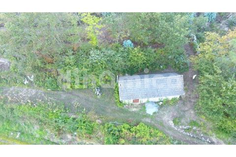 Terra a Joane, Braga, Joane - € 75.000 | Ref: 1923 - foto 2
