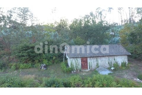 Terra a Joane, Braga, Joane - € 75.000 | Ref: 1923 - foto 3