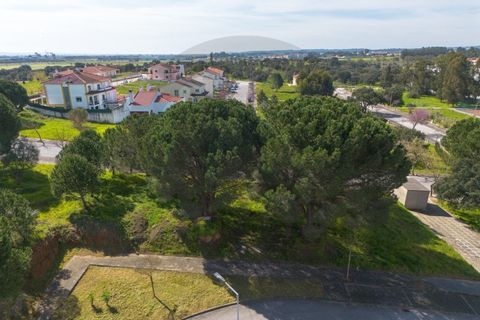 Helårsgrund i Entroncamento, Santarem, Entroncamento - € 30.000 | Ref: C0269-01734 - foto 3