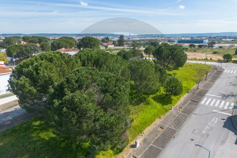 Helårsgrund i Entroncamento, Santarem, Entroncamento - € 30.000 | Ref: C0269-01734 - foto 4