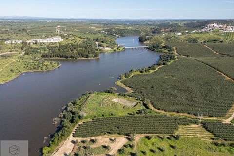 Terra a Avis, Portalegre, Avis - € 550.000 | Ref: Citage 188/24 - foto 6