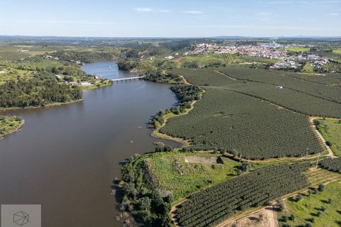 Terra a Avis, Portalegre, Avis - € 550.000 | Ref: Citage 188/24 - foto 7