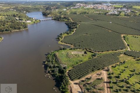 Terra a Avis, Portalegre, Avis - € 550.000 | Ref: Citage 188/24 - foto 11
