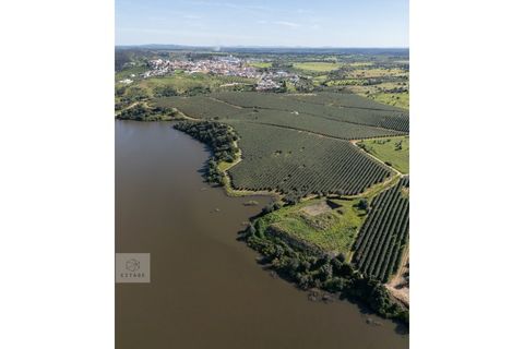 Terra a Avis, Portalegre, Avis - € 550.000 | Ref: Citage 188/24 - foto 13