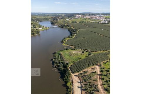 Terra a Avis, Portalegre, Avis - € 550.000 | Ref: Citage 188/24 - foto 14