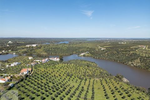 Terra a Avis, Portalegre, Avis - € 550.000 | Ref: Citage 188/24 - foto 15