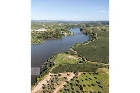 Terra a Avis, Portalegre, Avis - € 550.000 | Ref: Citage 188/24 - foto 16