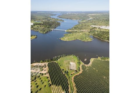 Terra a Avis, Portalegre, Avis - € 550.000 | Ref: Citage 188/24 - foto 17