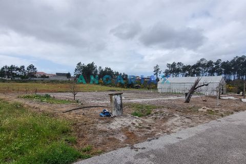 Helårsgrund i Leiria, Leiria, Leiria - € 59.000 | Ref: ANG1038 - foto 5