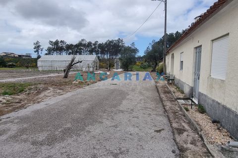 Helårsgrund i Leiria, Leiria, Leiria - € 59.000 | Ref: ANG1038 - foto 8
