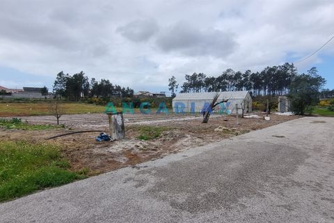 Helårsgrund i Leiria, Leiria, Leiria - € 59.000 | Ref: ANG1038 - foto 7