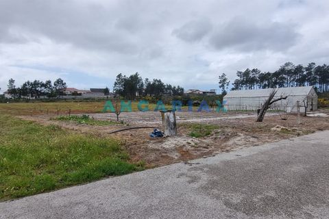 Helårsgrund i Leiria, Leiria, Leiria - € 59.000 | Ref: ANG1038 - foto 9