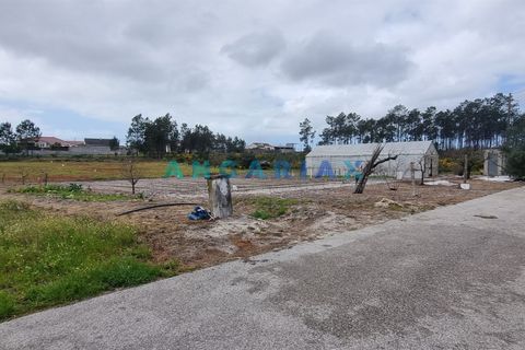 Helårsgrund i Leiria, Leiria, Leiria - € 59.000 | Ref: ANG1038 - foto 10