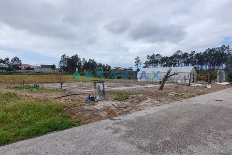 Helårsgrund i Leiria, Leiria, Leiria - € 59.000 | Ref: ANG1038 - foto 11