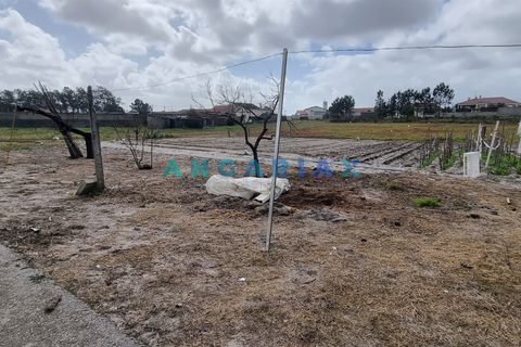 Helårsgrund i Leiria, Leiria, Leiria - € 59.000 | Ref: ANG1038 - foto 12