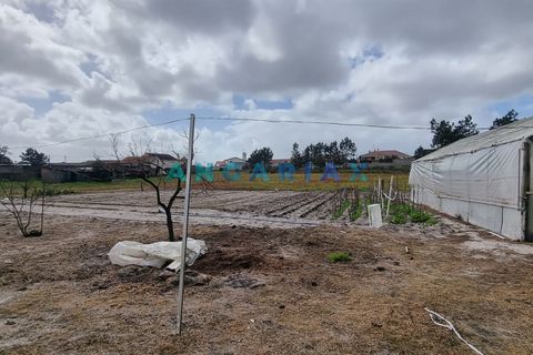Helårsgrund i Leiria, Leiria, Leiria - € 59.000 | Ref: ANG1038 - foto 13