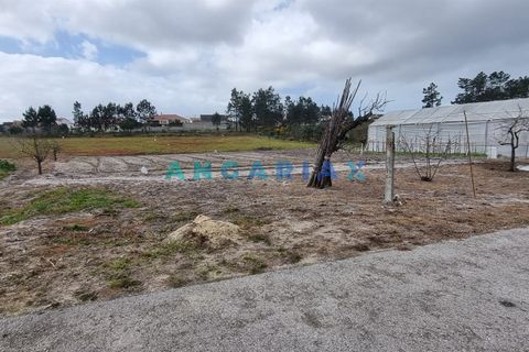 Helårsgrund i Leiria, Leiria, Leiria - € 59.000 | Ref: ANG1038 - foto 4