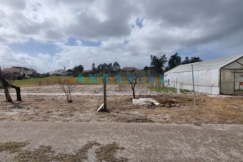 Helårsgrund i Leiria, Leiria, Leiria - € 59.000 | Ref: ANG1038 - foto 3