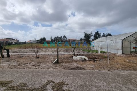 Helårsgrund i Leiria, Leiria, Leiria - € 59.000 | Ref: ANG1038 - foto 15