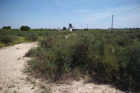 Tomt i Elche, Alicante, Elche - € 115 000 | Ref: JD188 - foto 2