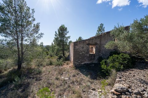 Farm hus i Xerta, Tarragona, Xerta - € 70.000 | Ref: 25 - foto 23
