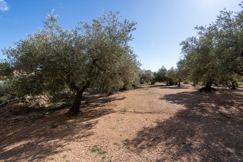 Farm hus i Xerta, Tarragona, Xerta - € 70.000 | Ref: 25 - foto 19