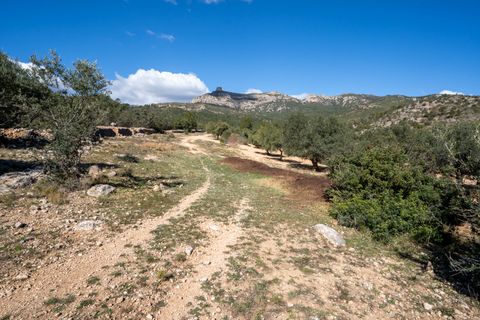 Farm hus i Xerta, Tarragona, Xerta - € 70.000 | Ref: 25 - foto 21