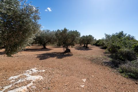 Farm hus i Xerta, Tarragona, Xerta - € 70.000 | Ref: 25 - foto 46