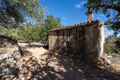 Farm hus i Xerta, Tarragona, Xerta - € 70.000 | Ref: 25 - foto 5