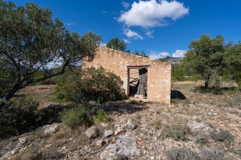 Farm hus i Xerta, Tarragona, Xerta - € 70.000 | Ref: 25 - foto 35