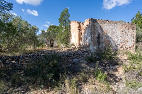 Farm hus i Xerta, Tarragona, Xerta - € 70.000 | Ref: 25 - foto 30