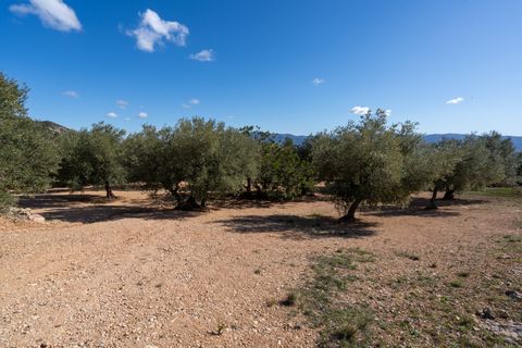 Farm hus i Xerta, Tarragona, Xerta - € 70.000 | Ref: 25 - foto 17