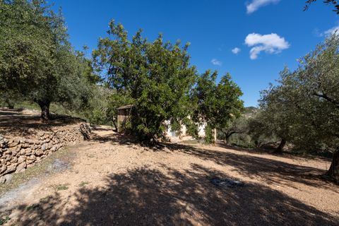 Farm hus i Xerta, Tarragona, Xerta - € 70.000 | Ref: 25 - foto 6